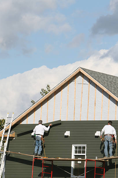 Best Siding for New Construction  in Guttenberg, IA